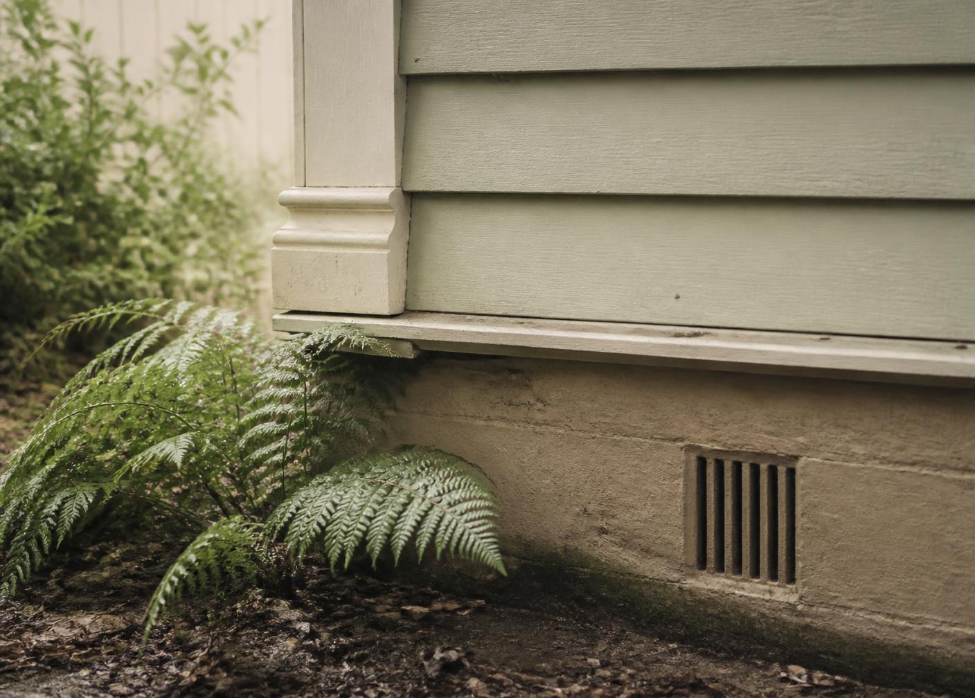 Subfloor vent and ferns at the base of an older New Zealand villa