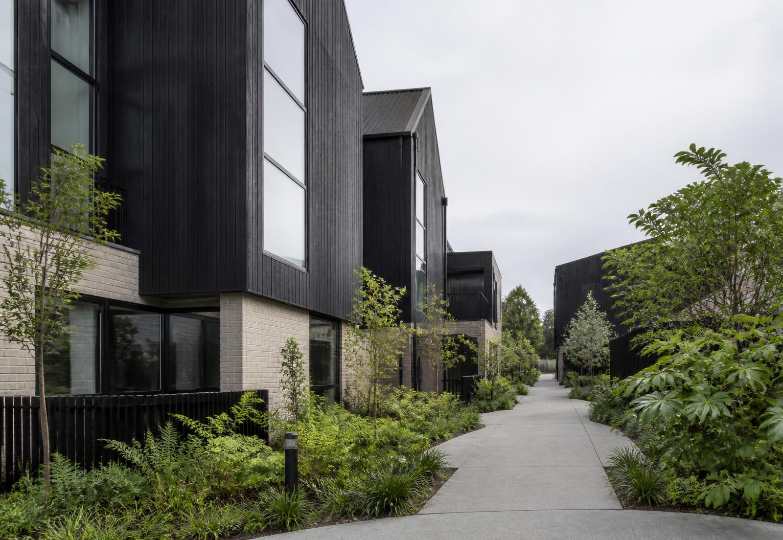 Contemporary Auckland townhouses with dark timber cladding and native planting