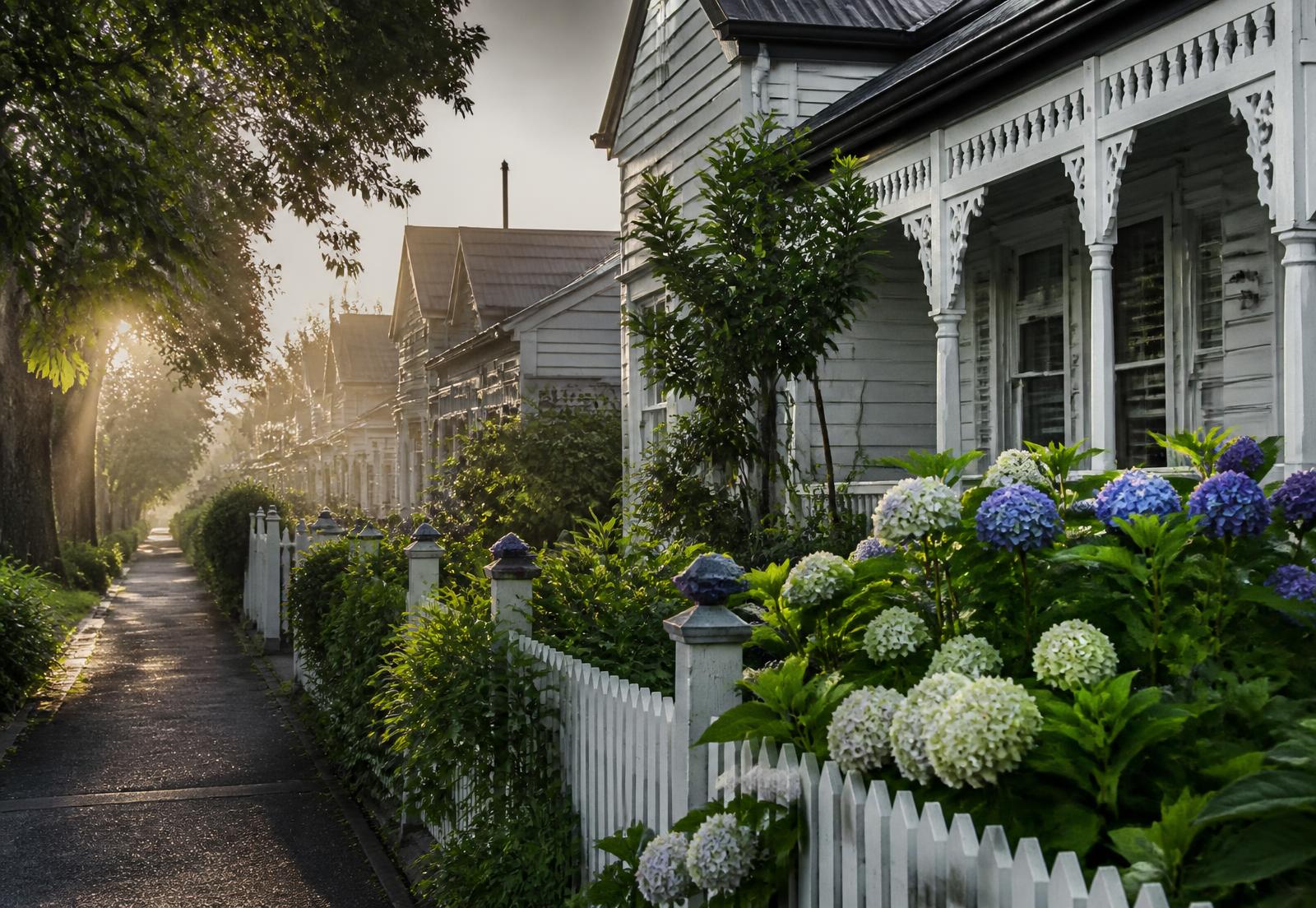 Row of restored Auckland villas with white picket fences and hydrangeas in morning light